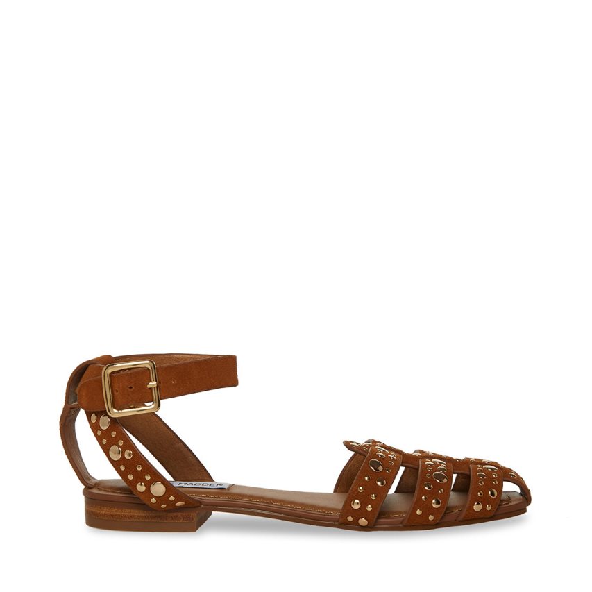 Brown Steve Madden Media-s Suede Women\'s Flat Sandals | PH 7608UCN